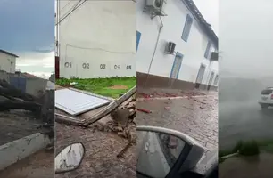 Tempestade causa destruição em São João do Piauí (Foto: Reprodução)