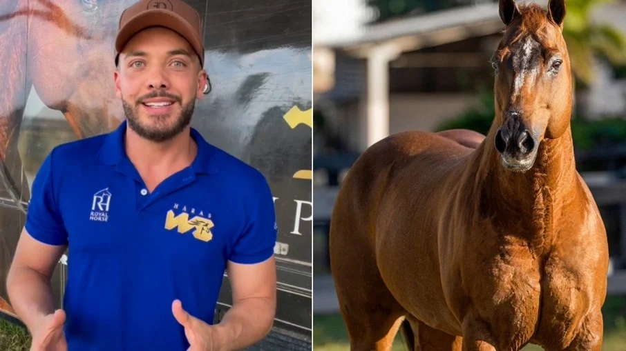 Wesley Safadão