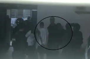 Apreensão (Foto: Reprodução)