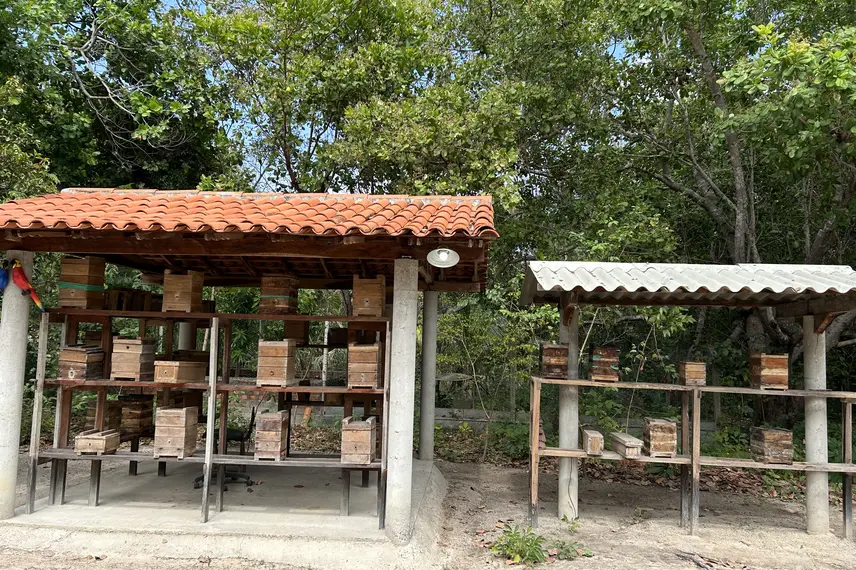 Chico Museu - Esperantina