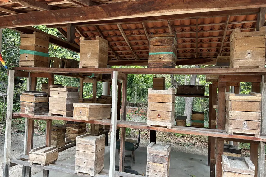 Chico Museu - Esperantina