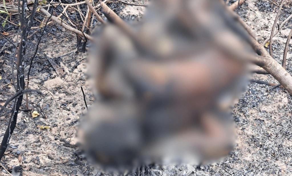 Corpo de homem é encontrado carbonizado às margens de avenida no litoral do Piauí