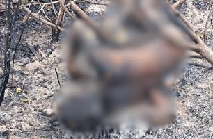 Corpo de homem é encontrado carbonizado às margens de avenida no litoral do Piauí (Foto: Reprodução)