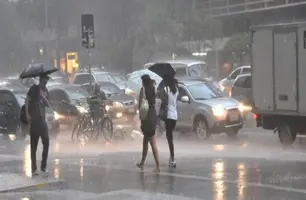 Defesa Civil confirma sete mortes após temporais no estado de SP (Foto: Divulgação)