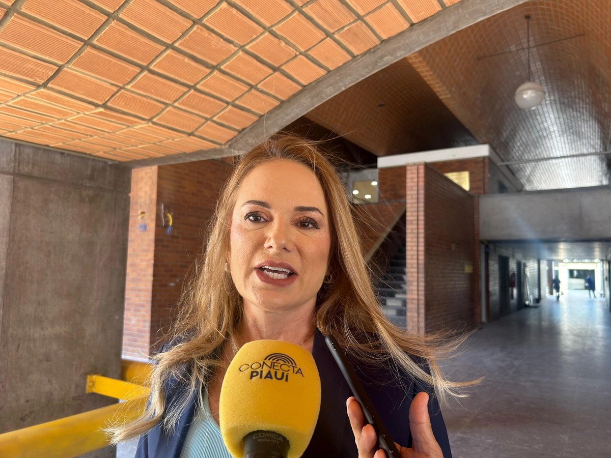 Deputada Ana Paula retorna à ALEPI e faz balanço positivo das eleições