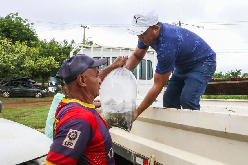 Distribuição de alevinos beneficia mais de duas mil famílias de agricultores no Piauí