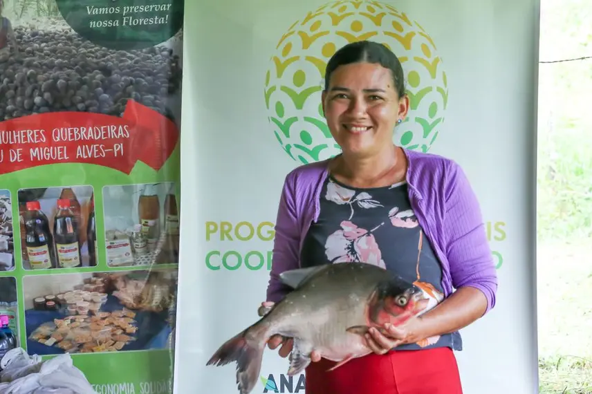 Distribuição de alevinos beneficia mais de duas mil famílias de agricultores no Piauí