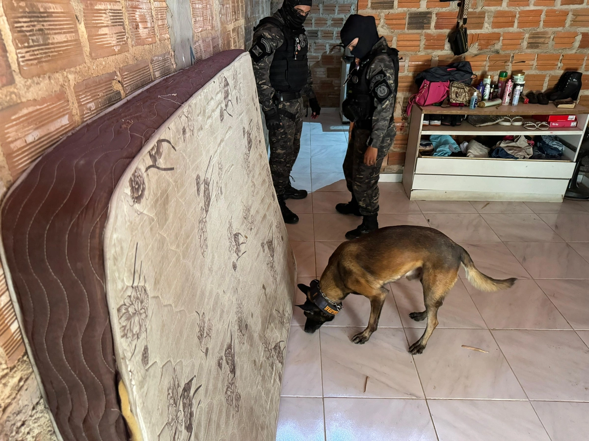Draco 163: mulheres são presas suspeitas de comandar boca de fumo em Teresina