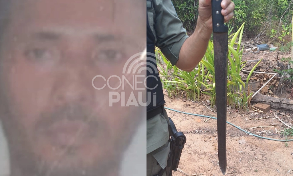 Homem ameaça irmã de morte e incendeia terreno dos pais em Demerval Lobão