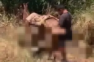 Homem é flagrado abusando de animal às margens da BR-316, na cidade de Picos (Foto: Reprodução)