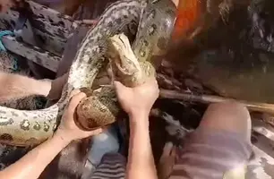 Homem morde sucuri para escapar do ataque do animal nem rio, no Pará (Foto: Reprodução)