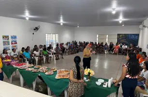 Idosos do grupo Idade Ativa são homenageados em evento dos CRAS de Demerval Lobão (Foto: Reprodução)