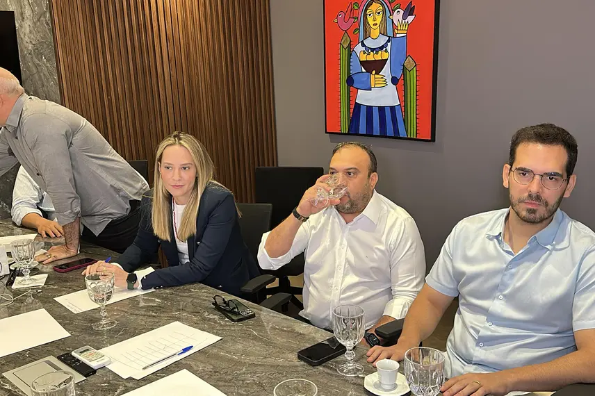 Marcelo Castro diz que MDB foi o partido mais vitorioso nas eleições 2024