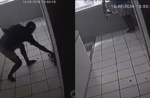 Maus-tratos a um gato (Foto: Reprodução)