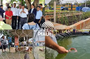 Ministro Wellington Dias lança programa 'Acredita no Primeiro Passo' em Parnaíba (Foto: Conecta Piauí)