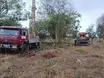 Piauí reduz em quase 13% o desmatamento ilegal em 2024, aponta MapBiomas