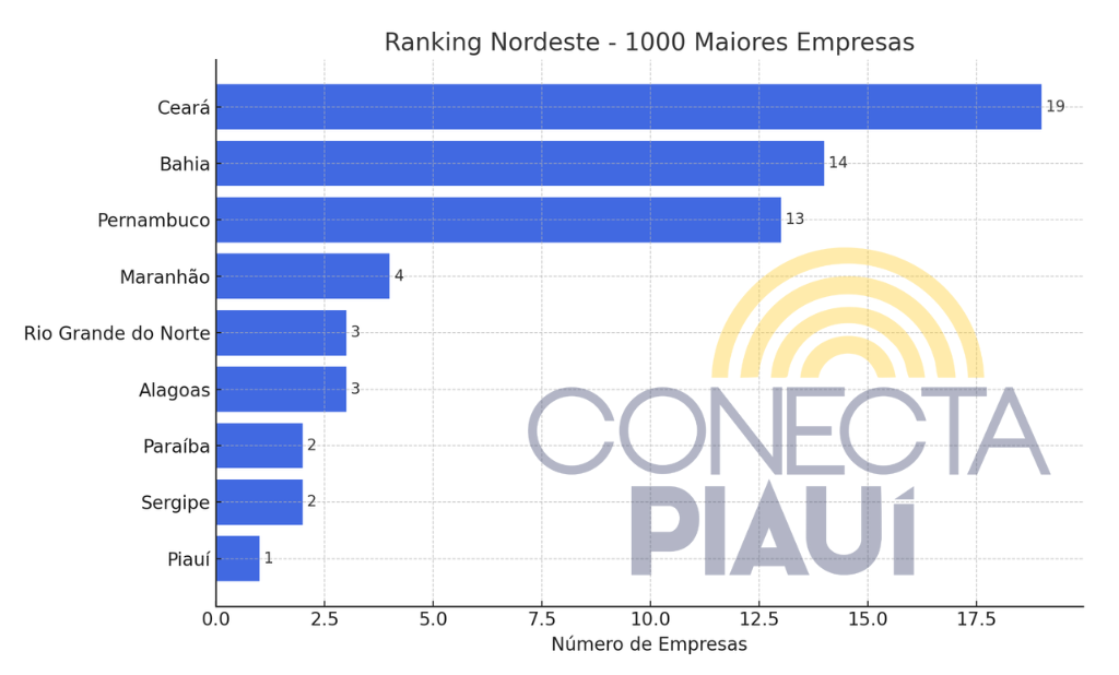 Piauí tem uma única empresa entre as mil maiores do país