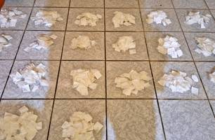 Polícia apreende mil papelotes de cocaína em cidade do Piauí (Foto: Reprodução)