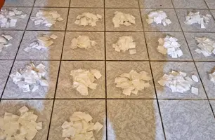 Polícia apreende mil papelotes de cocaína em cidade do Piauí (Foto: Reprodução)
