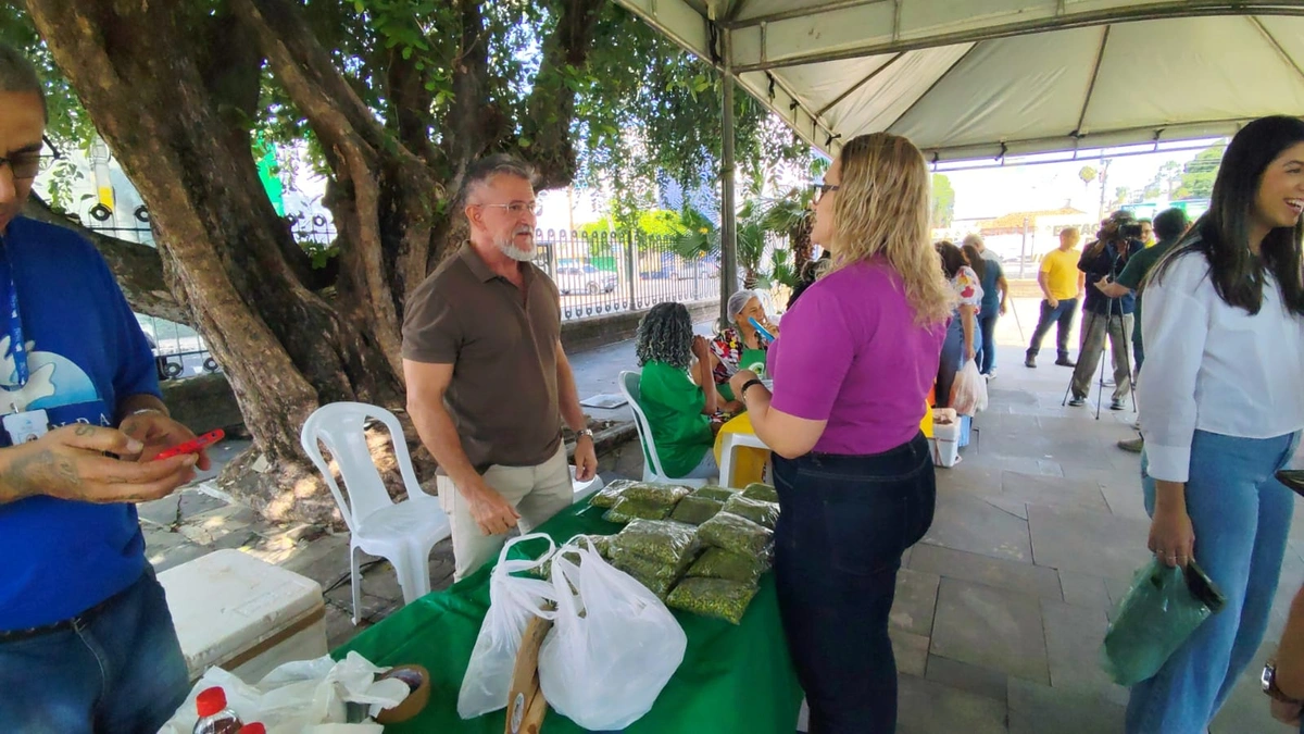 Quitanda no Palácio de Karnak incentiva força da agricultura familiar em Teresina