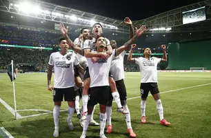 Botafogo (Foto: Vitor Silva/Botafogo)