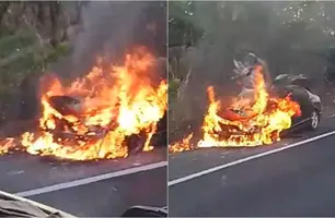 Carro pega fogo na entrada de Demerval Lobão, às margens da BR-316 (Foto: Reprodução)