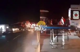 Colisão frontal entre carro e ônibus deixa homem morto na BR-343 em Piracuruca (Foto: Reprodução)