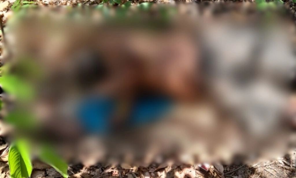 Corpo de idoso é encontrado em terreno baldio com marcas no pescoço em Teresina