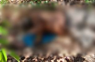Corpo de idoso é encontrado em terreno baldio com marcas no pescoço em Teresina (Foto: Reprodução)