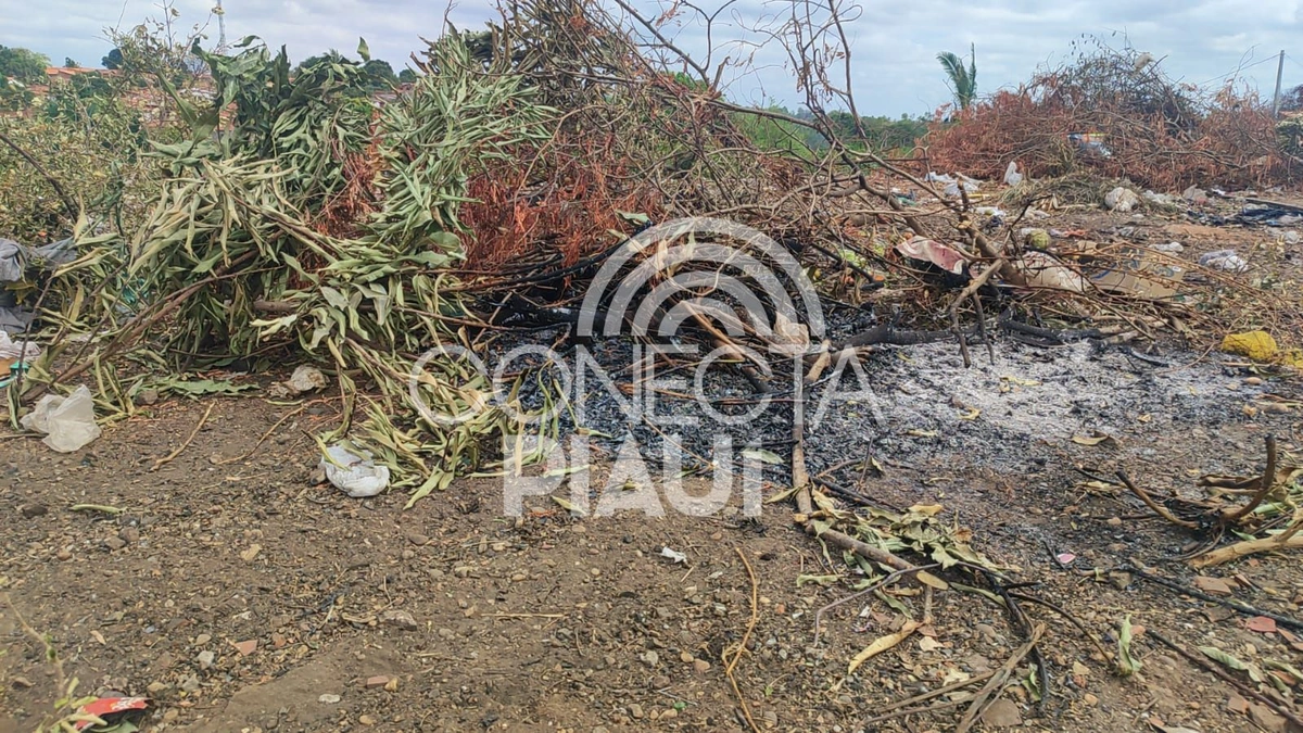 Mulher é encontrada carbonizada