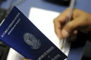 Empregos com carteira assinada e informais batem recordes no Brasil (Foto: Reprodução)