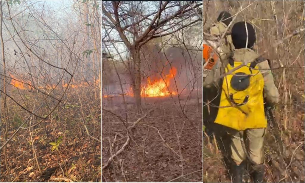 Equipes do Corpo de Bombeiros combatem incêndio florestal em São João da Serra