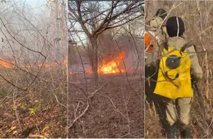 Equipes do Corpo de Bombeiros combatem incêndio florestal em São João da Serra (Foto: Reprodução)