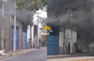 Forte incêndio atinge empresa de espumas na av. Maranhão, zona Norte de Teresina (Foto: Reprodução)