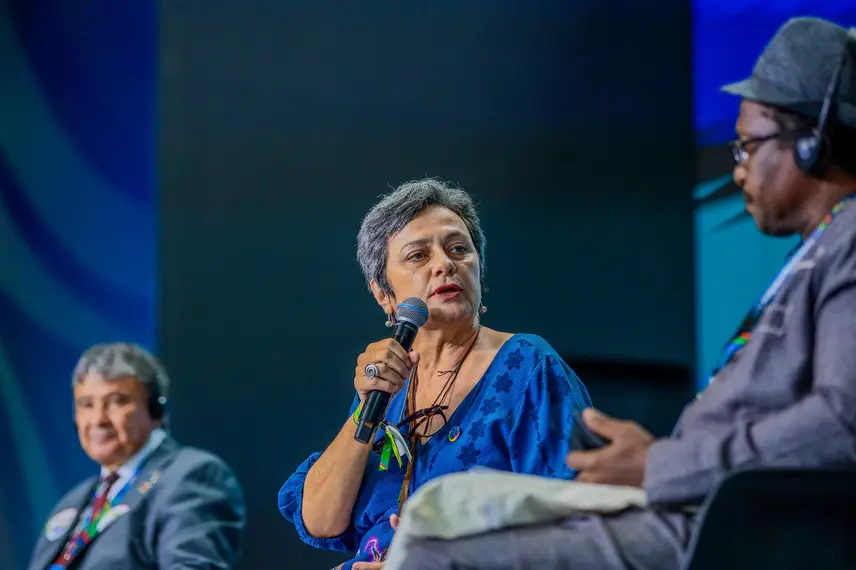 G20: Wellington Dias destaca protagonismo do Brasil em Aliança Global contra Fome e Pobreza