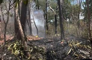 Incêndio em mata no Parque da Cidade e mobiliza Corpo de Bombeiros em Teresina (Foto: Reprodução/Instagram)