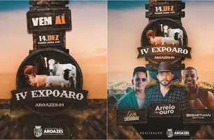 IV Expoaro (Foto: Reprodução)