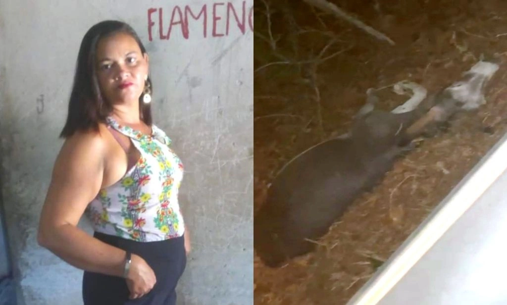 Mulher sofre grave acidente na PI-113 enquanto ia visitar o filho internado