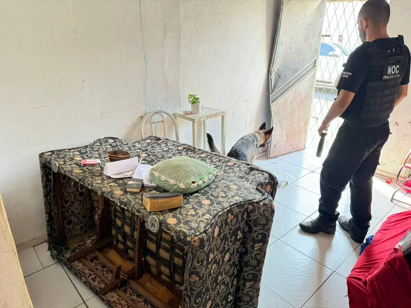 Operação Denarc 65