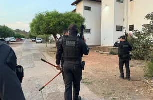 Operação Draco 166 (Foto: Reprodução)