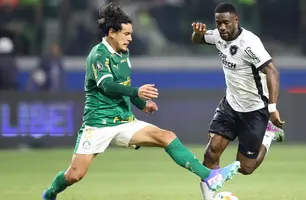 Palmeiras x Botafogo (Foto: Vitor Silva/Botafogo)