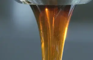 Piauí se destaca em concurso nacional de mel nativos (Foto: TV Brasil)