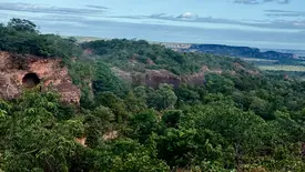 Piauí se destaca no combate ao desmatamento no cerrado, com queda de 10% (Foto: Joseph SIlva/ConectaPiauí)
