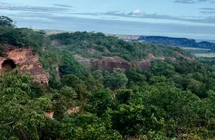 Piauí se destaca no combate ao desmatamento no cerrado, com queda de 10% (Foto: Joseph SIlva/ConectaPiauí)