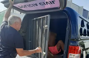 Polícia Civil de Timon prende dois condenados por roubo (Foto: Reprodução)