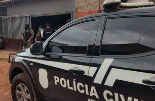 Polícia Civil realiza prisão em flagrante de homem no Sul do Piauí (Foto: Reprodução)