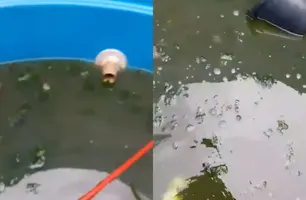 População denuncia 'imundície' das caixas d'água em comunidade de Manoel Emídio (Foto: Reprodução)