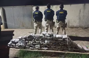 PRF apreende 100 kg de skunk e prende dois homens por tráfico em Picos (Foto: Reprodução)