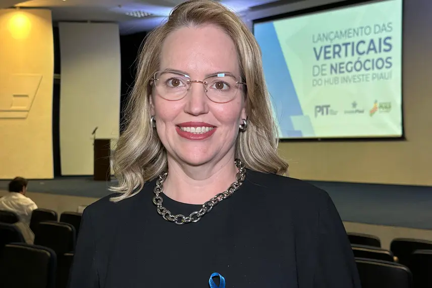 Programa de Verticais de Negócios do Hub Investe Piauí é lançado em Teresina