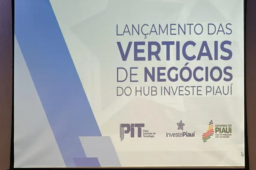 Programa de Verticais de Negócios do Hub Investe Piauí é lançado em Teresina